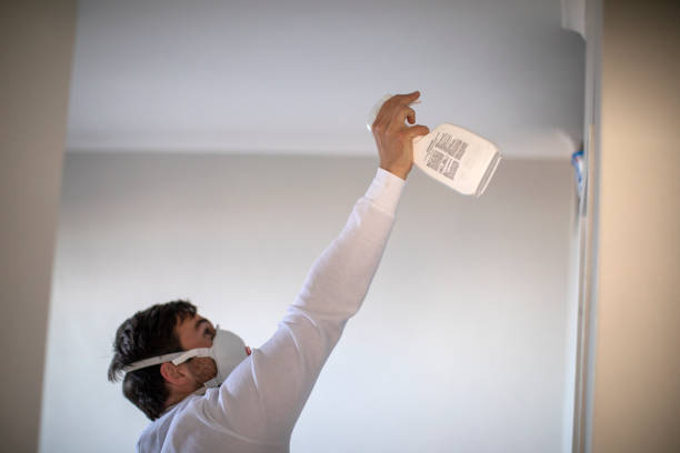 Best Emergency Mold Removal  in Indio, CA