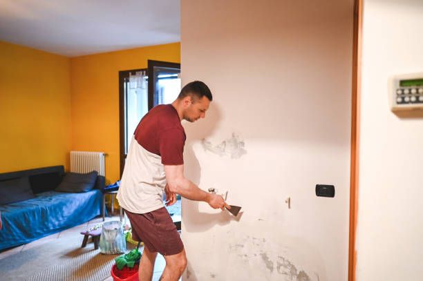 Best Affordable Mold Removal  in Indio, CA
